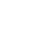 ペルシャ絨毯専門店 ライオンラグス